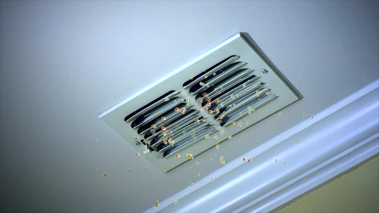 Best Air Duct Mold Removal  in Coral Springs, FL